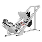 Sled Calf Press On Leg Press animated exercise demonstration