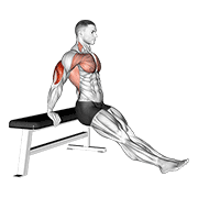 Bench Dip On Floor animated exercise demonstration