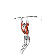 Muscle-Up (On Vertical Bar) animated exercise demonstration