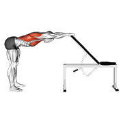Back Pec Stretch animated exercise demonstration