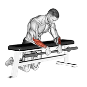 Barbell Palms Down Wrist Curl Over A Bench animated exercise demonstration