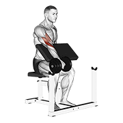 Dumbbell One Arm Reverse Preacher Curl animated exercise demonstration
