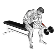Dumbbell One Arm Seated Neutral Wrist Curl animated exercise demonstration