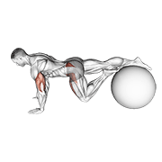 Exercise Ball One Leg Prone Lower Body Rotation animated exercise demonstration