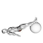 Exercise Ball One Legged Diagonal Kick Hamstring Curl animated exercise demonstration