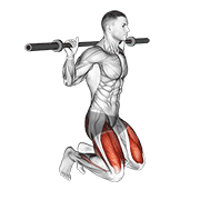 Kneeling Jump Squat animated exercise demonstration