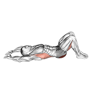 Pelvic Tilt Into Bridge animated exercise demonstration