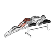 Reverse Hyper On Flat Bench animated exercise demonstration