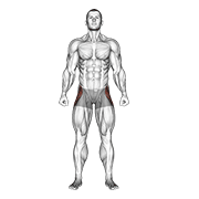Straight Leg Outer Hip Abductor animated exercise demonstration