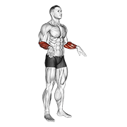 Wrist Circles animated exercise demonstration
