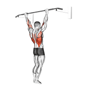 Wide Grip Pull-Up animated exercise demonstration