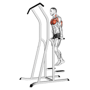 Chest Dip (On Dip-Pull-Up Cage) animated exercise demonstration
