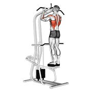 Assisted Standing Chin-Up animated exercise demonstration