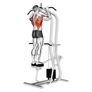 Assisted Standing Pull-Up animated exercise demonstration