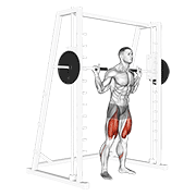 Smith Low Bar Squat animated exercise demonstration