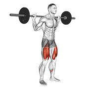 Barbell Low Bar Squat animated exercise demonstration