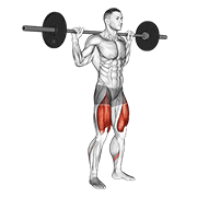 Barbell High Bar Squat animated exercise demonstration