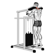 Lever Gripless Shrug V. 2 animated exercise demonstration