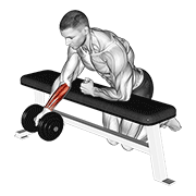 Dumbbell Over Bench One Arm Reverse Wrist Curl animated exercise demonstration