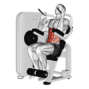 Lever Seated Crunch animated exercise demonstration