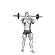 Barbell Standing Close Grip Military Press animated exercise demonstration