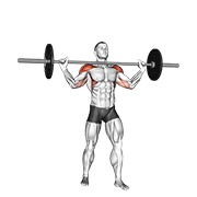 Barbell Standing Wide Military Press animated exercise demonstration