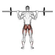 Barbell Full Squat (Back Pov) animated exercise demonstration