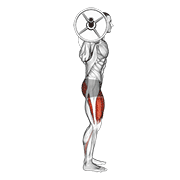 Barbell Full Squat (Side Pov) animated exercise demonstration