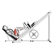 45-degree leg press demonstration showing shoulder-width foot placement, supported pelvis, controlled depth, and smooth knee extension