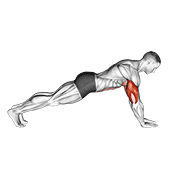 Push-Up On Lower Arms animated exercise demonstration