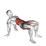 Crab Twist Toe Touch animated exercise demonstration