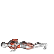 Inchworm animated exercise demonstration