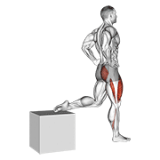 One Leg Squat animated exercise demonstration