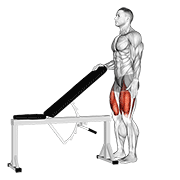 Sissy Squat animated exercise demonstration