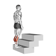 Standing Calf Raise (On A Staircase) animated exercise demonstration