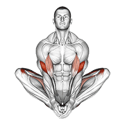 Butterfly Yoga Pose animated exercise demonstration