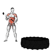Sledge Hammer animated exercise demonstration