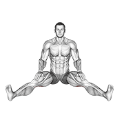 Seated Wide Angle Pose Sequence animated exercise demonstration