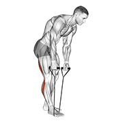Standing Hamstring And Calf Stretch With Strap animated exercise demonstration