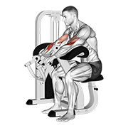 Lever Reverse Grip Preacher Curl animated exercise demonstration