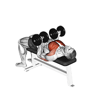 Dumbbell Reverse Bench Press animated exercise demonstration