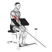 Cable One Arm Preacher Curl animated exercise demonstration