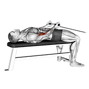 Cable Lying Bicep Curl animated exercise demonstration