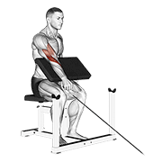 Cable One Arm Reverse Preacher Curl animated exercise demonstration