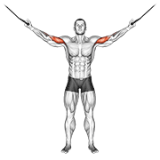Cable Overhead Curl animated exercise demonstration