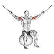 Cable Overhead Curl On Exercise Ball animated exercise demonstration