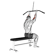 Cable Pulldown Bicep Curl animated exercise demonstration