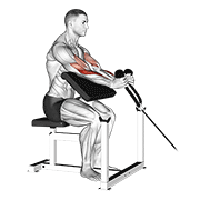 Cable Rope Hammer Preacher Curl animated exercise demonstration