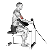 Cable Rope One Arm Hammer Preacher Curl animated exercise demonstration