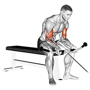 Cable Seated Curl animated exercise demonstration